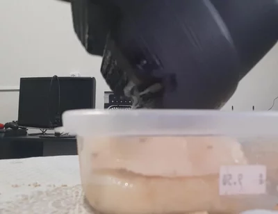 Crushing Pineapple Boots