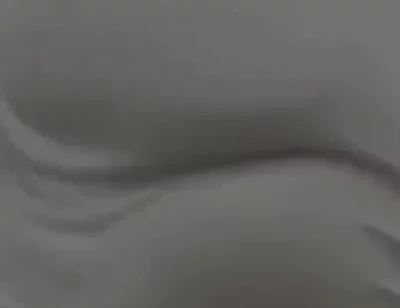 This Ass