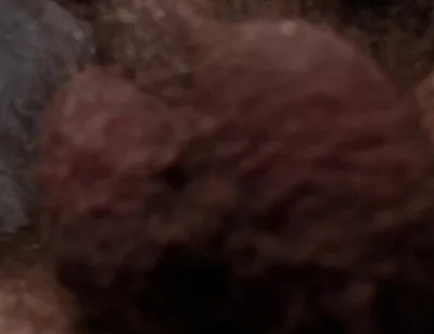 Leather Boss Fucked Your Mouth and Legs Cum (part1)