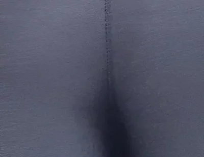 Nice Ass in Legging