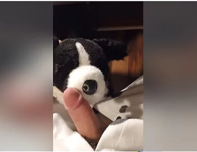 Border Collie Plushie Licks And Makes Onesie Pubby Cum!