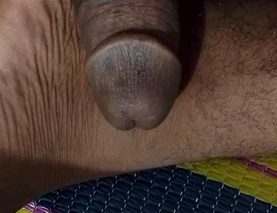 Desi Anaconda