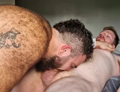 Sucking Bear Cock