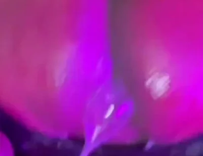 Slap Happy Fuck