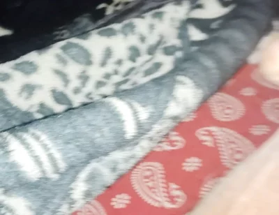 My Video