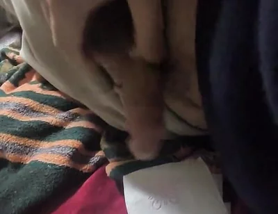 İ'm Cumming