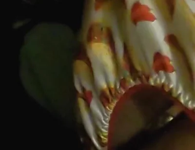 Satin taco thong bulge play jerk & cum