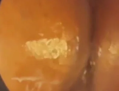 Masturbating My Oiled Ass