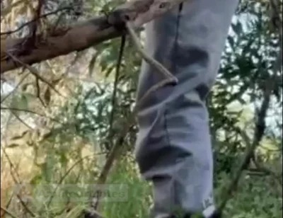 Hot Amateur Boy Sucks and Rims in the Woods