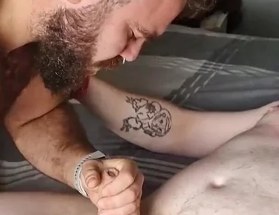 Sucking Bear Cock