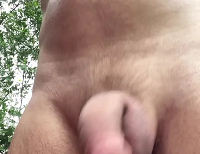 Flashing Cock