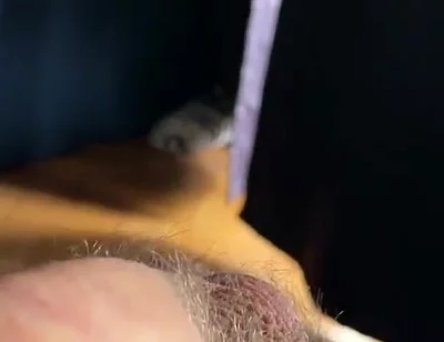 Cum with Tim Blesh
