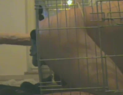 Slave in Cage Gets Anal Used