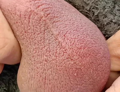 Big Uncut Cock Edging and Cumming, Outdoor Onesie Wank for the Neighbours - Rockardglans
