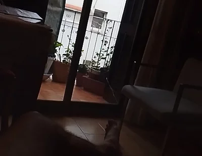 Through the Window