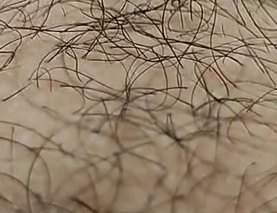 I'm Hairy Boy This My Legs and Dick