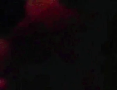 Goon Sucking Uncut Cock at the Park