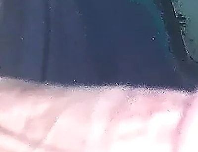 Exclusive Cumshot Video Boy Self Pleasure HD