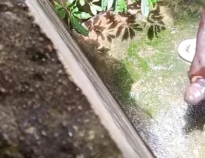 BBC Creampies on the Floor