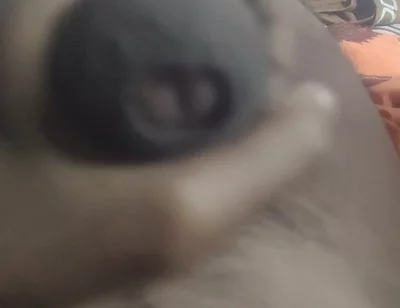Aunty's Pussy Became Wet After Seeing My Penis.
