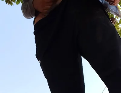 A Normal Day in the Park