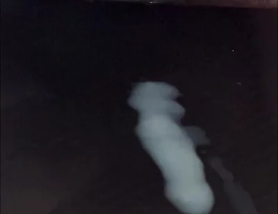 What Does Sperm Experience in Slow Motion?