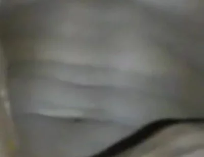 Teasing Slapping My BBC Jerking off Cumming Hard