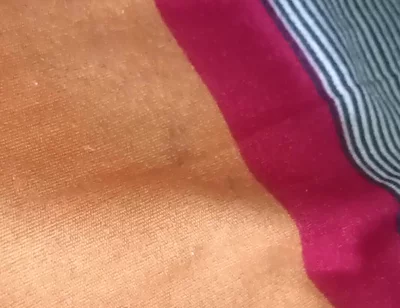 Desi Boy Anal Hole