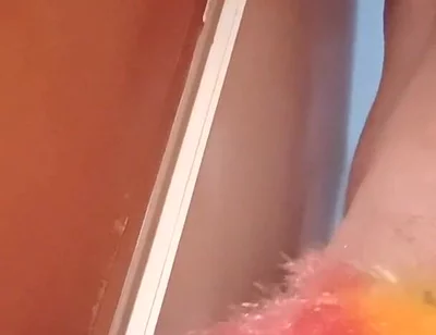 Rainbow Duster