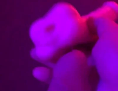 Fun Toy Play