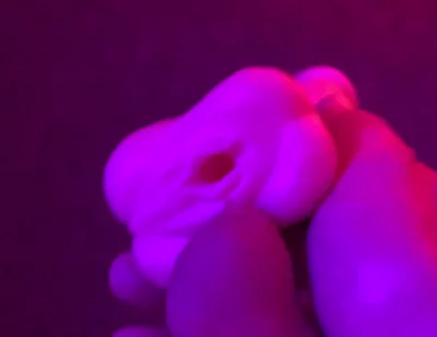 Fun Toy Play
