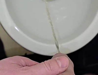 Pissing to the Toilet