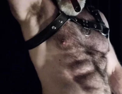 Hairy Muscle Leather Stepdaddy Showing off