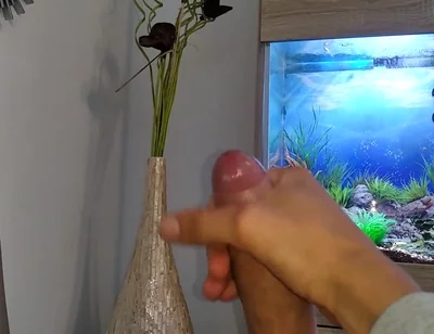 Hot Young Guy Wanks His Nice Big Cock Until He Cums Slowly in Front of the Aquarium