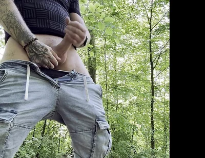 Hot Break in the Forest