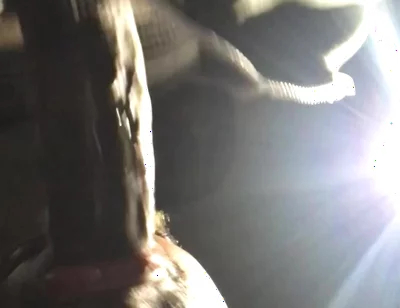 BBC Worship at Night: Risky Public Blowjob & Throat Fuck