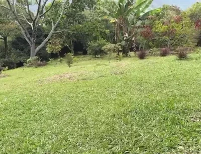 Horny Guy with Glasses Shows You His Morning Erection and Masturbates Outdoors - Andcristian