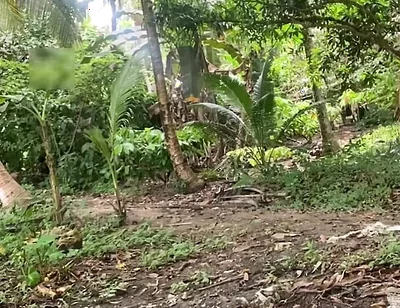 Young Pinoy Twink Jerks off Secretly Outdoors