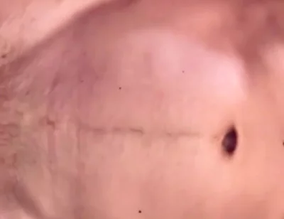 Happy Day Beautiful Sluts