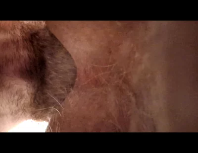 He Wanted to Have His Ass Licked