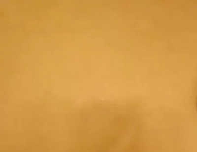 Black Cock Shots