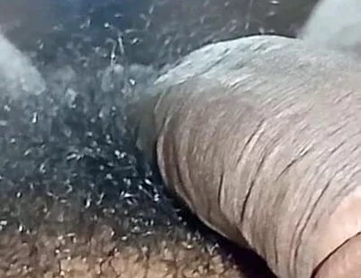 Tamil Wife Horny and Pussy Licking