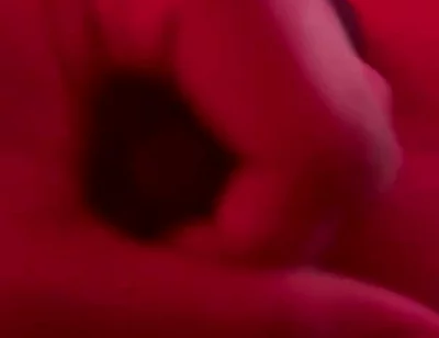 Red Golden Perish Golden Sperm Shot