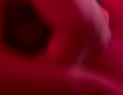 Red Golden Perish Golden Sperm Shot