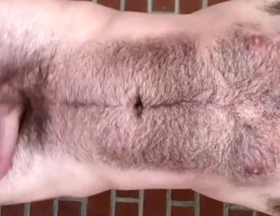 hairy boy