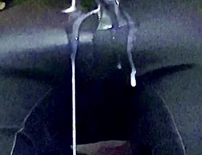 Thick Cumshot Part 1