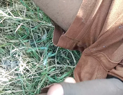 Desi Cock