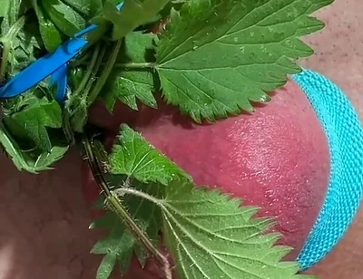 Cum with Nettles Inside Dick