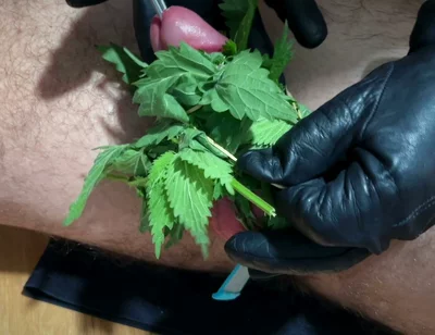 Cum with Nettles Inside Dick