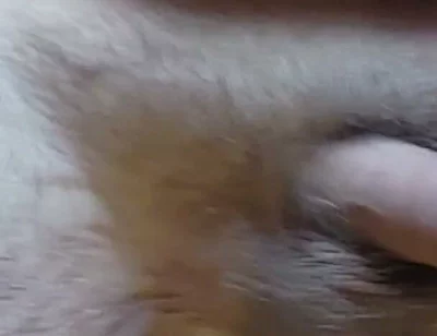 I'm Waving My Cock for You